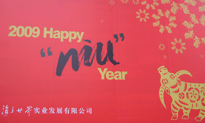 Happy Niu Year!