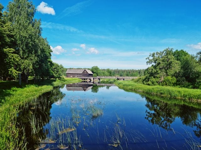 A Beginner’s Guide to the Estonian Language