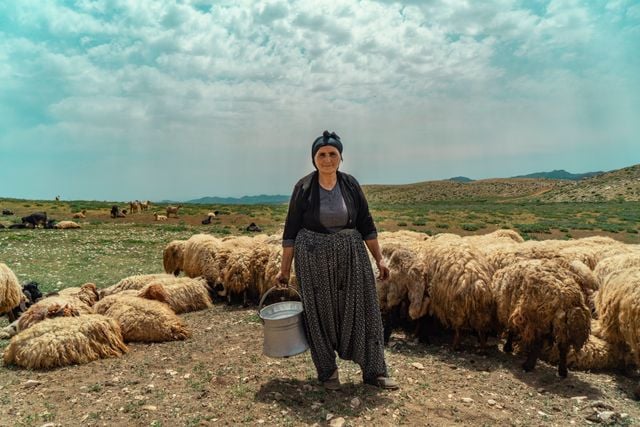 Kurdish for Beginners: Start With the Right Dialect and Alphabet