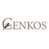 Cenkos Securities Plc