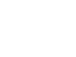 Fact icon