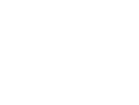Fact icon